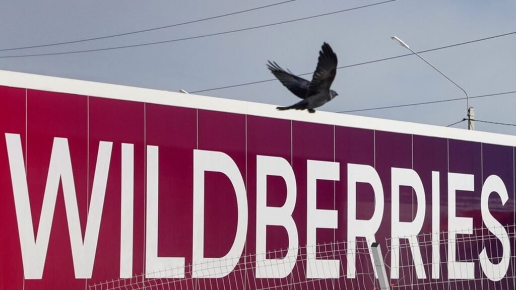 Wildberries: Πώς η πλουσιότερη γυναίκα της Ρωσίας παρέδωσε το ένα τρίτο της περιουσίας της – Ο ρόλος του Κρεμλίνου, όλο το παρασκήνιο