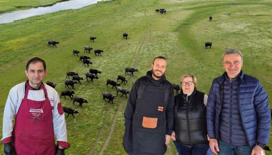 Η άνθηση της Buffalo Economy στην Κερκίνη μέσα από τη γαστρονομία